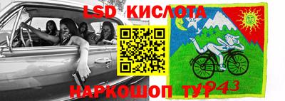 крисы Кандалакша