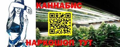 крисы Кандалакша