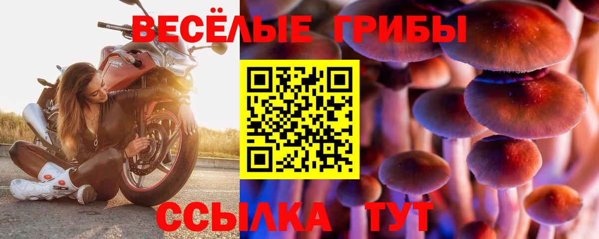 Псилоцибиновые грибы мицелий  Вход с VPN  Дагестанские Огни  как найти   Псилоцибиновые грибы MAGIC MUSHROOMS 